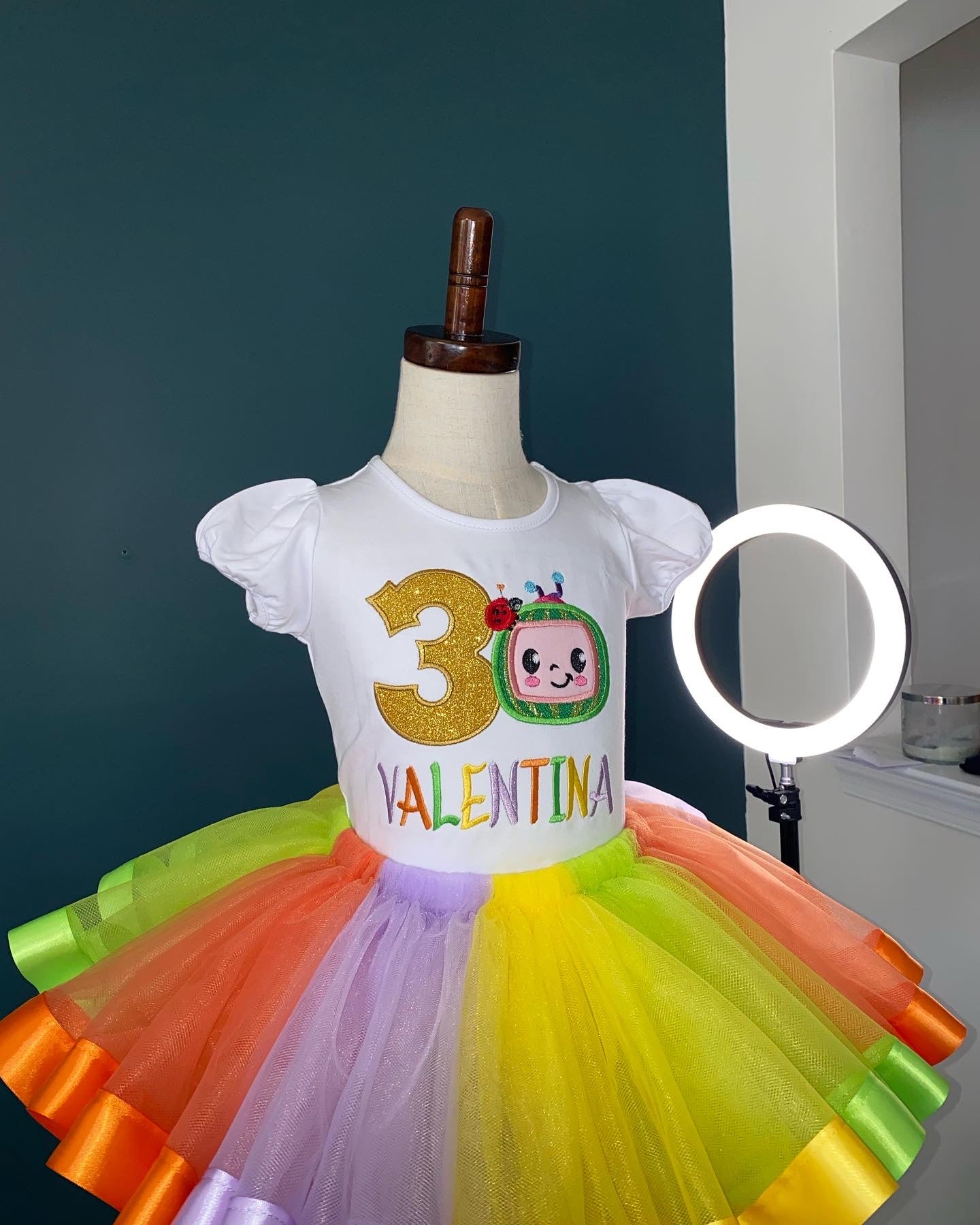 Cocomelon birthday outfit. personalized embroidered shirt with matching multicolored tulle, ribbon trimmed skirt with matching waist bow