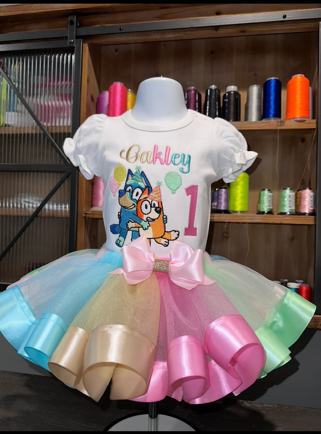Bluey and Bingo Birthday Outfit