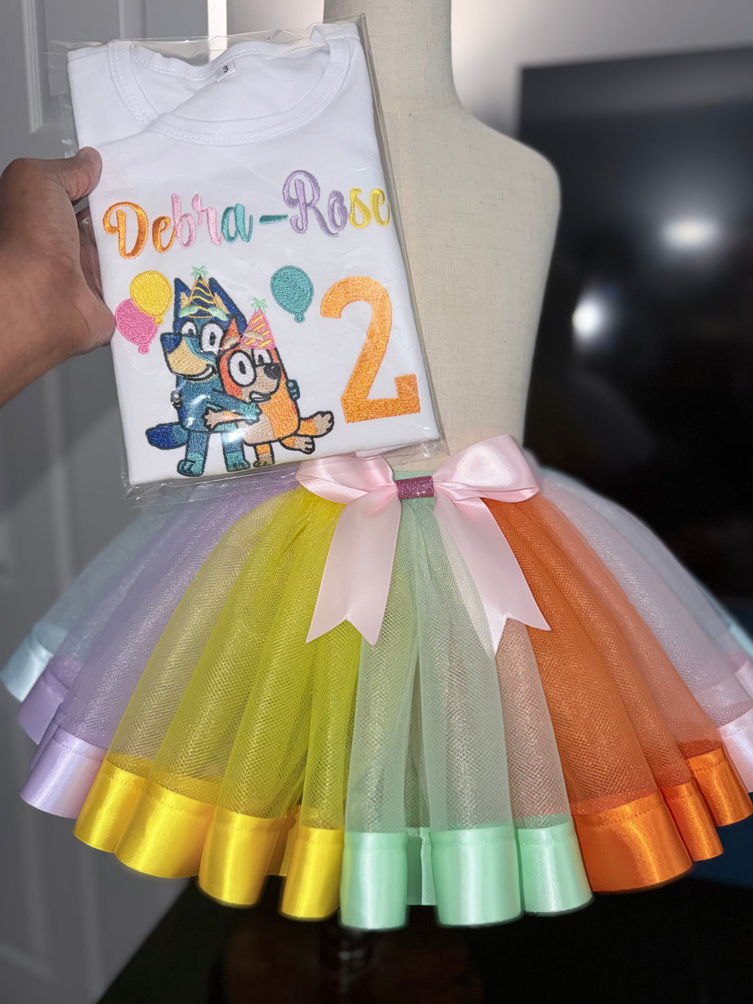 Bluey &amp; Bingo Birthday Outfit